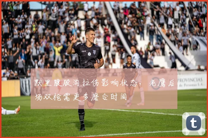 默里腹股沟拉伤影响状态,老鹰后场双枪需更多磨合时间